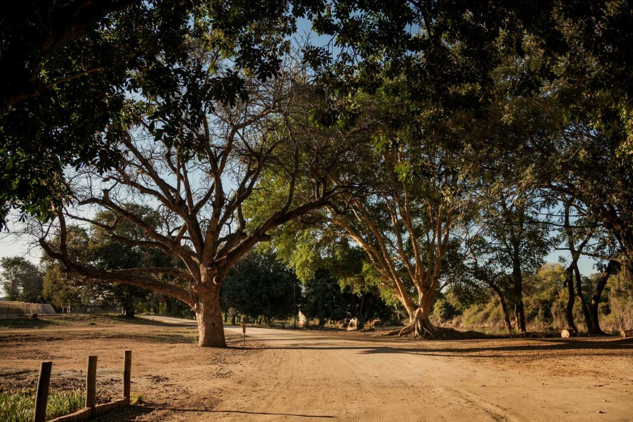 Letaba Junction Lodge Letsitele ภายนอก รูปภาพ